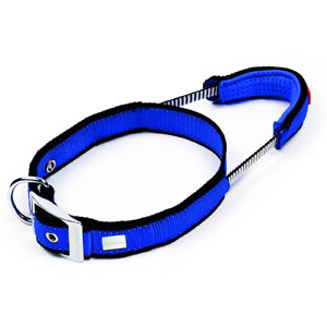 Dog Control System Halsband (41-50 cm x 30 mm)