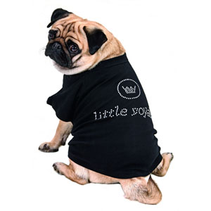 Shirt for Dogs