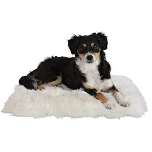 Sheepskin Cushion for Dogs