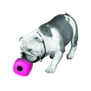 Buster Cube Snack Ball - 11 cm