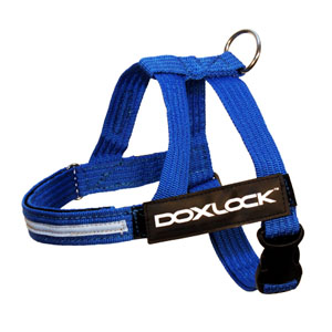 DoxLock Beltharness Blue SMALL