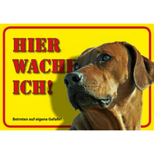 German Dog Warning Label Hier wache ich! - Rhodesian Ridgeback