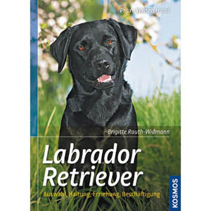 Labrador Retriever, Praxiswissen Hund