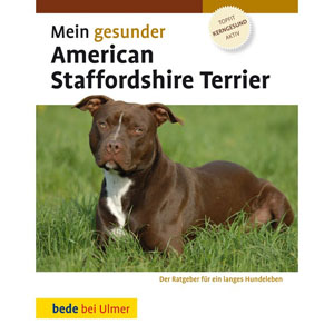 American Staffordshire Terrier, 