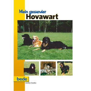 Hovawart, 