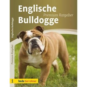 Englische Bulldogge Premium Ratgeber
