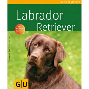 Labrador Retriever, GU
