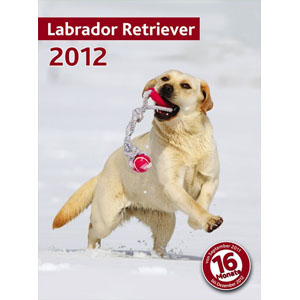 Trixie Hundekalender 2012 Labrador Retriever