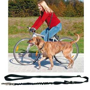 Bicycle And Jogging Lead