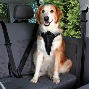 Auto-Sicherheits-Geschirr Dog Protect