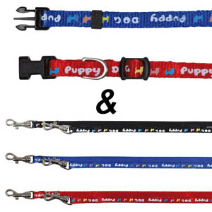 Puppy Collar With Lead