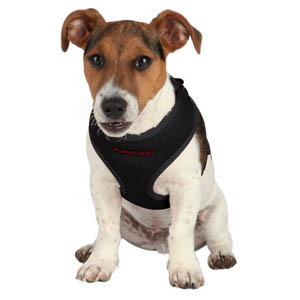 Puppy Soft Harness With Lead - Black