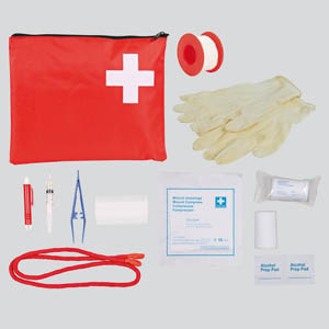 First Aid Kit For Dogs And Cats