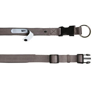 Premium Collar With Neoprene Padding And Address Flap Taupe