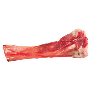 Tibia Bone - 17cm