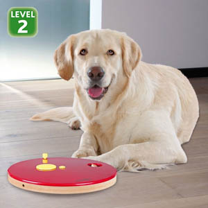 Dog Activity Strategy Game Roulette