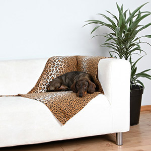 Nima Dog Blanket - 100 x 70cm