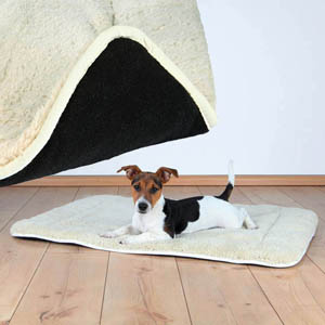 Dorien Blanket Cream-Black 95 x 68 cm