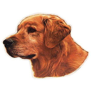 Golden Retriever Hundeaufkleber, Version A