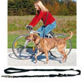 Bicycle And Jogging Lead