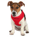Puppy Soft Harness With Lead - Red