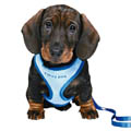 Puppy Soft Harness With Lead - Blue