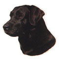 Labrador, schwarz Hundeaufkleber