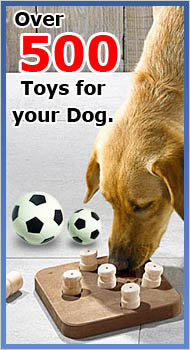 Over 500 Toys for your Dog